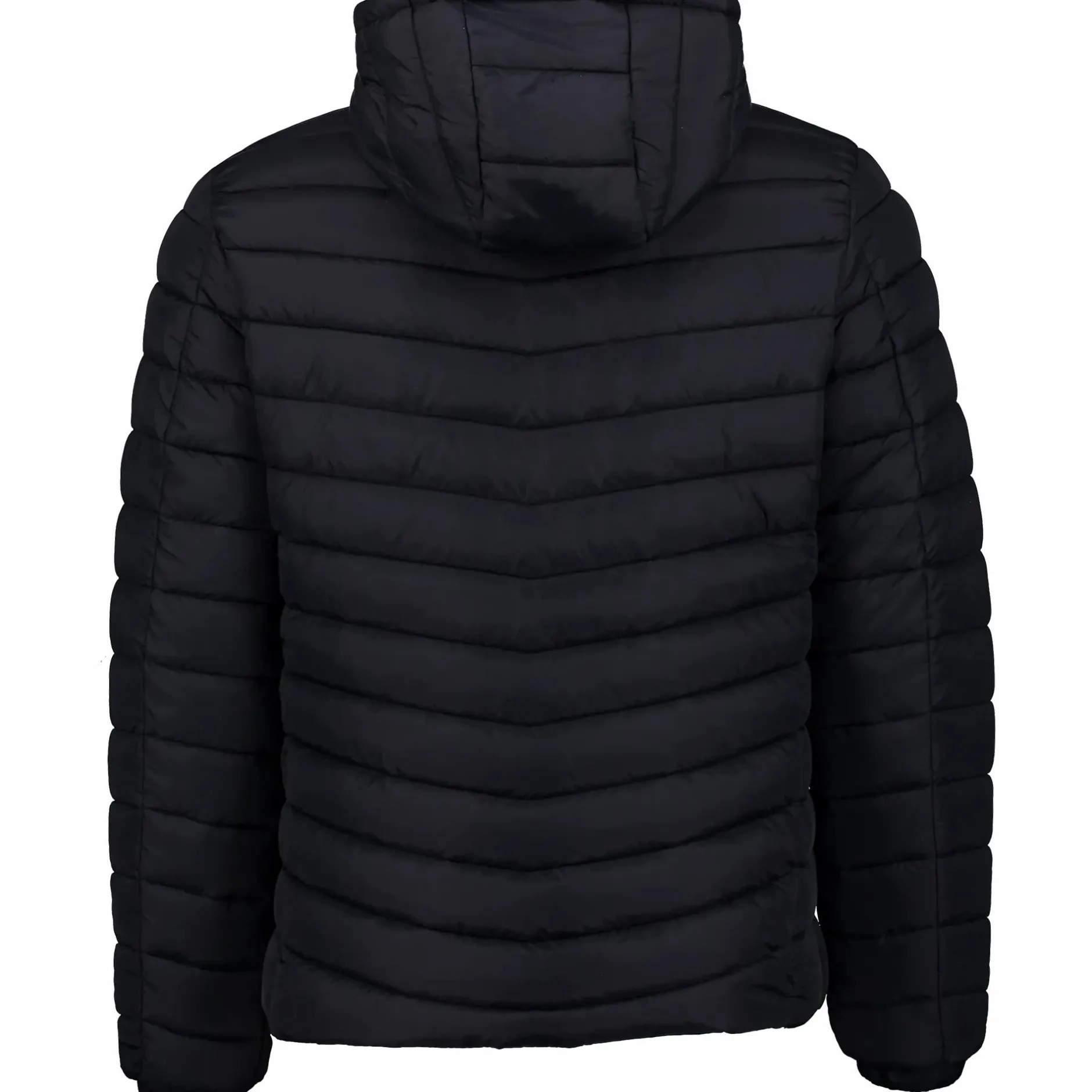 noah jkt m<ST VINCENT POLO CLUB Clearance