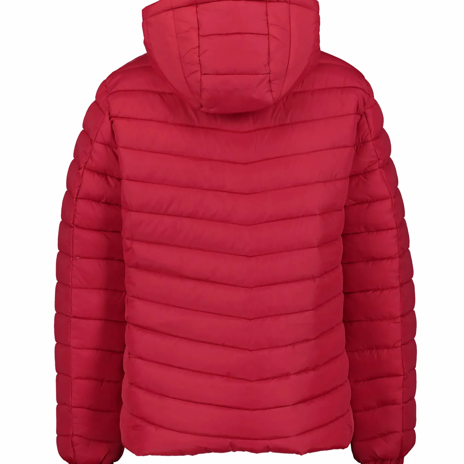 noah jkt m<ST VINCENT POLO CLUB Sale