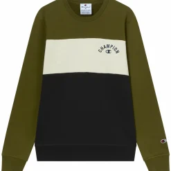 sweatshirt icons crewneck m<CHAMPION New