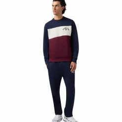 sweatshirt icons crewneck m<CHAMPION Hot